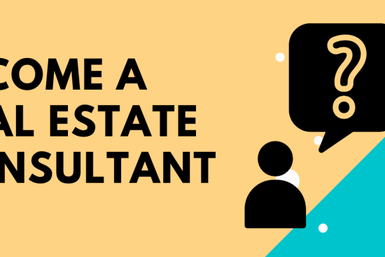 real estate consultant