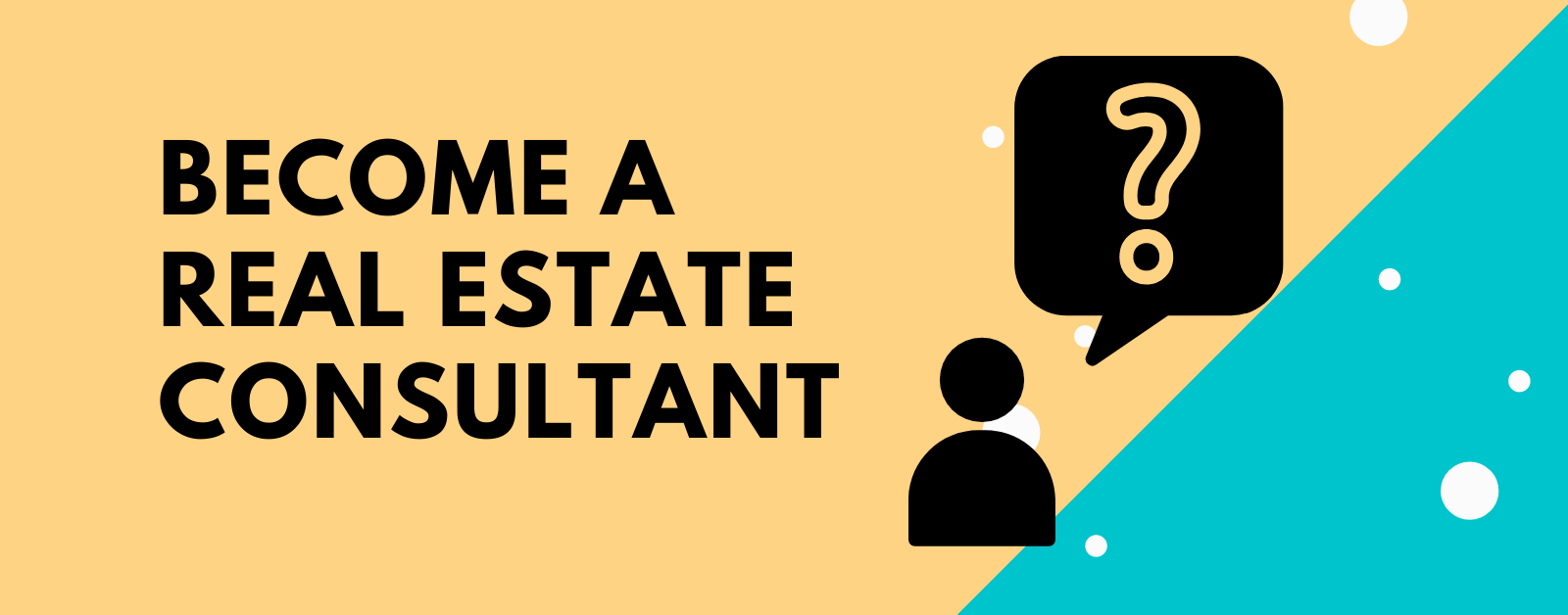 real estate consultant