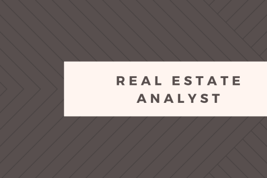 REAL ESTATE ANALYST