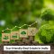 Eco-friendly Real Estate in India